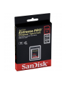 SanDisk CF Express Type 2  128GB Extreme Pro     SDCFE-128G-GN4NN - nr 1