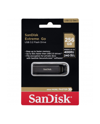 SanDisk Cruzer Extreme GO  256GB USB 3.2         SDCZ810-256G-G46