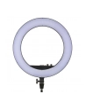 Godox LR160B LED Ring Light - nr 1