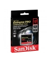 SanDisk Extreme Pro CF     128GB 160MB/s         SDCFXPS-128G-X46 - nr 9