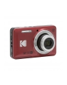 Kodak PixPro FZ55 red - nr 14