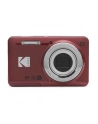 Kodak PixPro FZ55 red - nr 6