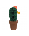 Papirho Humidifier Cactus green - nr 1