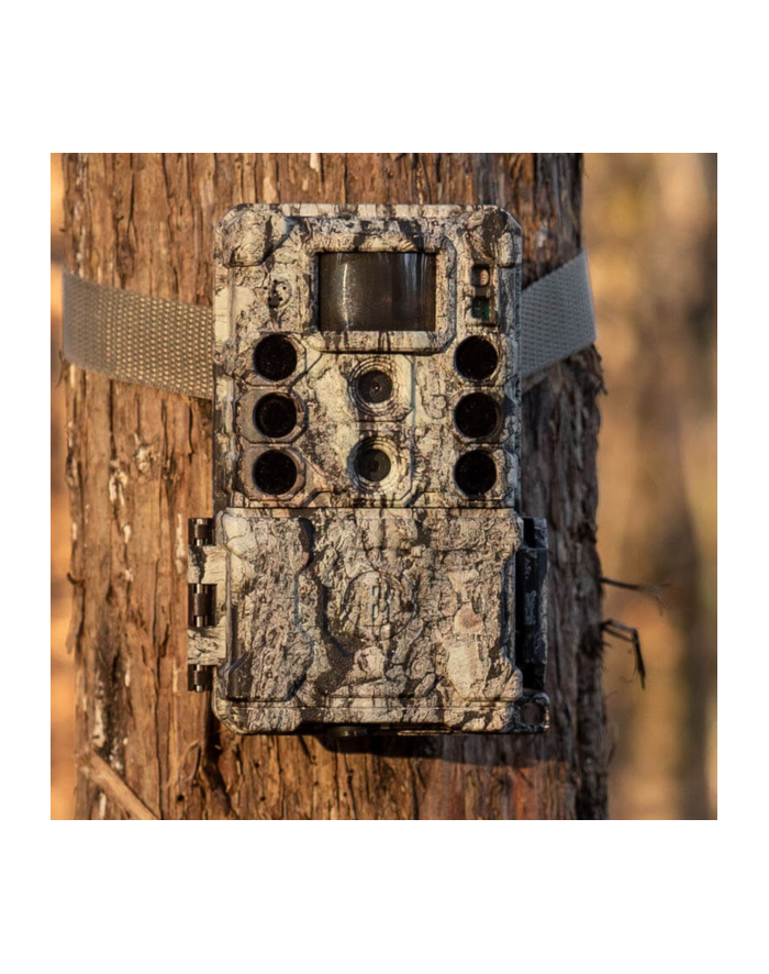 Bushnell kamera lesna 32MP Core DS 4K camo główny