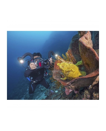 Sealife Sea Dragon 5000+ with Color Boost Light Head (SL680-1)