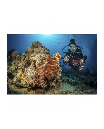 Sealife SportDiver Underwater Smartphone Housing (SL400-U)