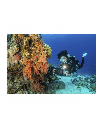 Sealife SportDiver Underwater Smartphone Housing (SL400-U)