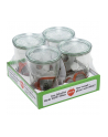 WECK Mold Jar 0,75l Set of 4 - nr 1