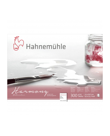 Hahnemühle Harmony Watercolour cold pressed 12 Sheets 300 g  A4