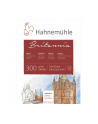 Hahnemühle Britannia Watercolour hot pressed 24x32cm 300g 12 sh. - nr 1