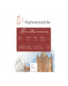 Hahnemühle Britannia Watercolour 12 sheets rough 17x24cm 300g - nr 1