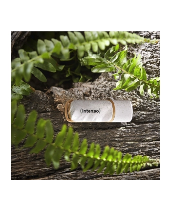 Intenso Green Line          32GB USB Stick 3.2 Gen 1 nr 1