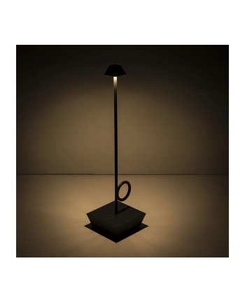 broggi design Broggi Lampada Bugia grey rechargeable nr 1