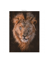 Ambassador Lion Head 1000 Pieces (Donal Boyd) - nr 2