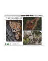 Ambassador Wildlife Families 3x 1000 Pieces (Donal Boyd) - nr 1