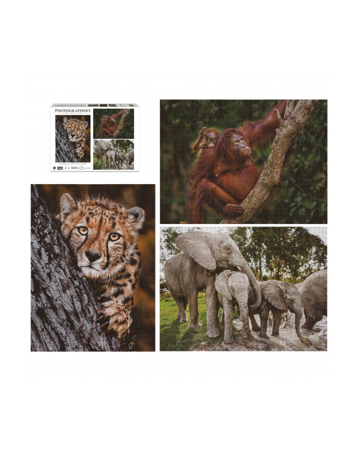 Ambassador Wildlife Families 3x 1000 Pieces (Donal Boyd) główny