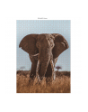 Ambassador Wildlife Eye Contact 3x 1000 Pieces (Donal Boyd) - nr 4