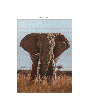 Ambassador Wildlife Eye Contact 3x 1000 Pieces (Donal Boyd)