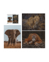 Ambassador Wildlife Eye Contact 3x 1000 Pieces (Donal Boyd) - nr 5