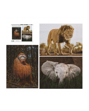 Ambassador Wildlife 3x1000 Pieces (Donal Boyd)