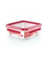 Emsa Clip'amp;Close Glass Food Container 0,8 L red - nr 10