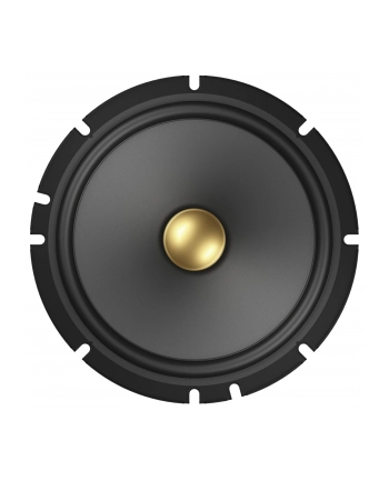 Pioneer TS-A1601C nr 1