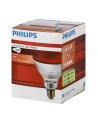 Philips infrared lamp PAR38 IR 100W E27 230V Red - nr 1