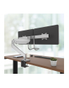 Fellowes Eppa Crossbar Monitor Arm silver - nr 14