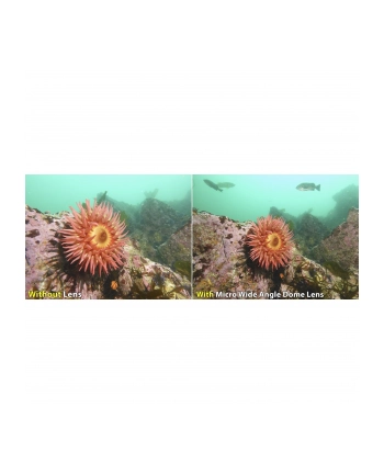 Sealife Ultra-Wide Angle Dome Lens     (SL052)
