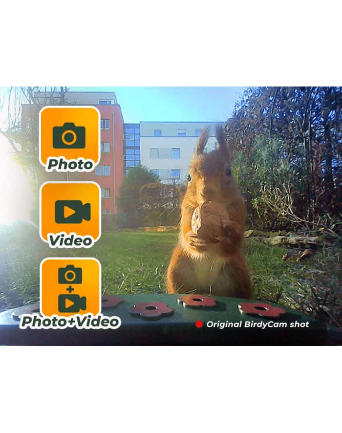Easypix Bird Cam główny