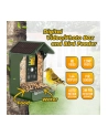 Easypix Bird Cam - nr 21