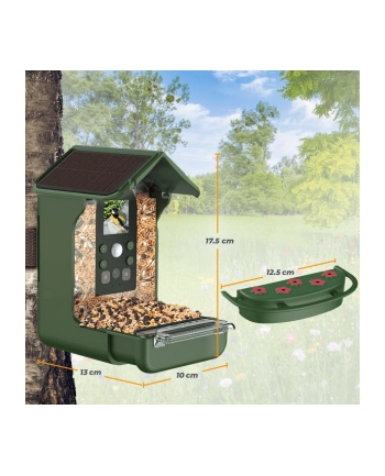 Easypix Bird Cam nr 2