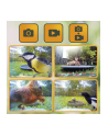 Easypix Bird Cam - nr 10