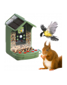 Easypix Bird Cam - nr 11