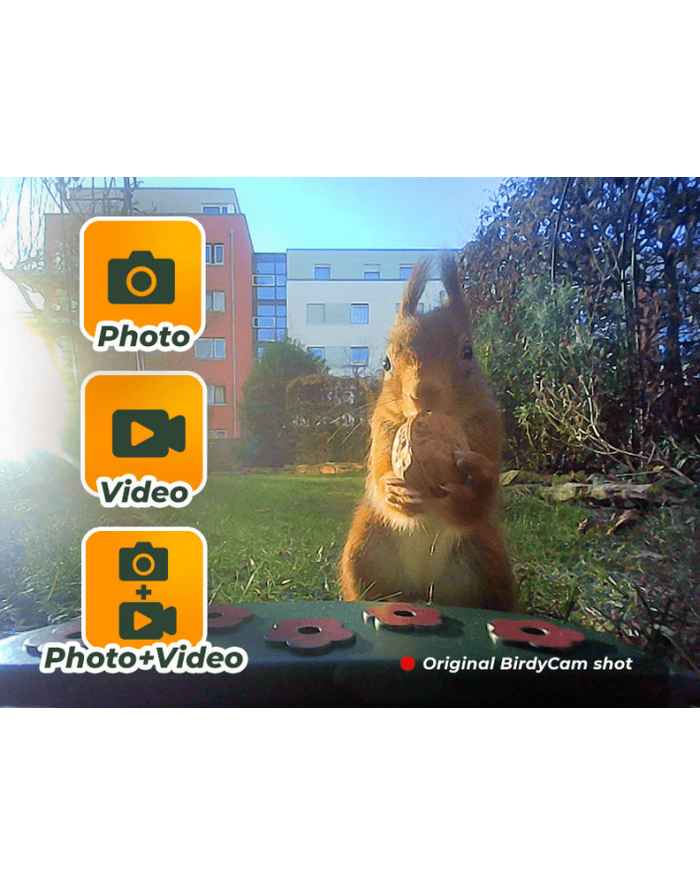 Easypix Bird Cam główny