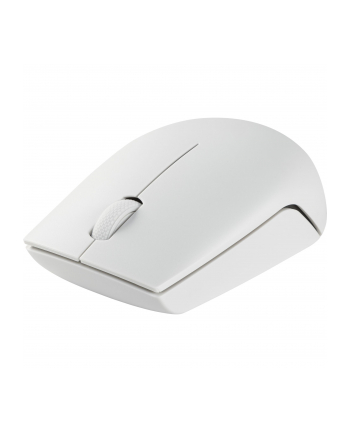 Lenovo 300 cloud grey Wireless Mouse