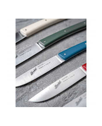 Berkel steak knife set 4-pcs. Color green nr 1