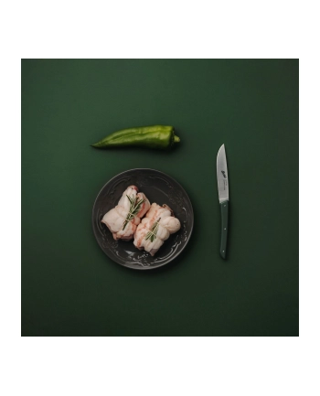 Berkel steak knife set 4-pcs. Color green