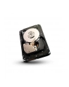 Dysk Seagate Cheetah 15K.7, 3.5'', 600GB, SAS, 15000RPM, 16MB cache - nr 17