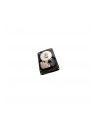 Dysk Seagate Cheetah 15K.7, 3.5'', 600GB, SAS, 15000RPM, 16MB cache - nr 30