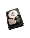 Dysk Seagate Cheetah 15K.7, 3.5'', 600GB, SAS, 15000RPM, 16MB cache - nr 32