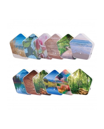 olympia Olymp Nature BOX nr 1