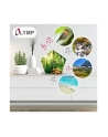 olympia Olymp Nature BOX - nr 22