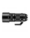 Panasonic Lumix S Pro 4,0/70-200 OIS - nr 4