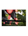 lite bulb moments LBM 10m Smart Outdoor Light Chain - 50 x Cone Globe - nr 5