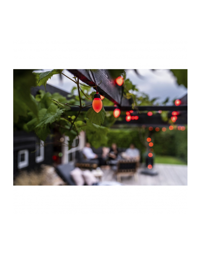 lite bulb moments LBM 10m Smart Outdoor Light Chain - 50 x Cone Globe główny