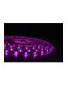 lite bulb moments LBM Smart Waterproof LED strip 5m RGBW - nr 7