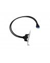 Conceptronic EMRICK11B 19-Pin Dual USB-Extension - nr 8