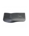 Conceptronic ORAZIO02D-E Ergonomic Keyboard and Mouse - nr 26