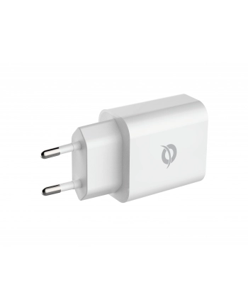 Conceptronic ALTHEA10W 1-Port 25W USB-C PPS-Charger nr 1